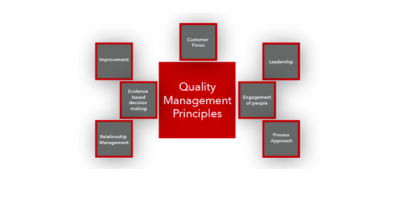 Quality Management Principle
